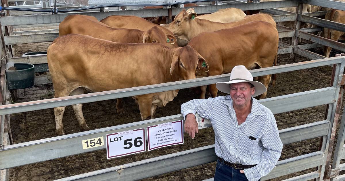 Grafton special female sale tops the season so far