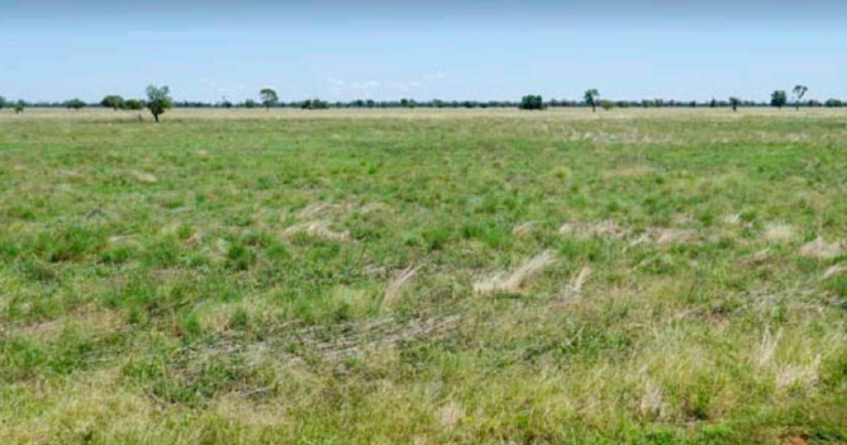 Productive cropping, sheep and cattle country | Video