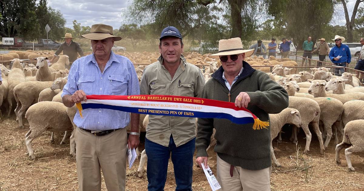 Barellan first-cross ewes sold to $395