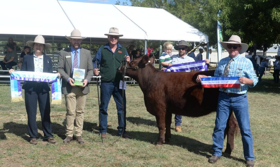 Canberra Royal 2023 Lincoln Red results Australian Country Life