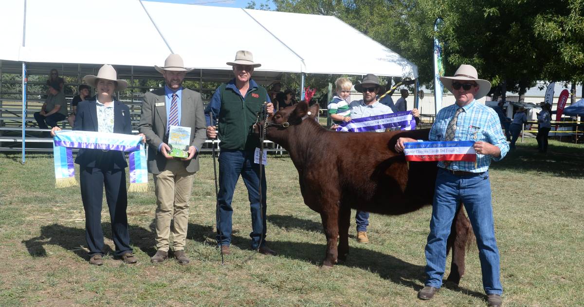 Canberra Royal 2023: Lincoln Red results