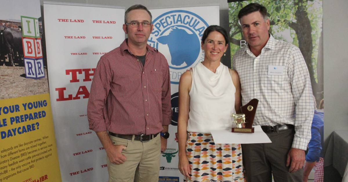 Beef Spectacular Feedback Trial 2023: Champion Angus pen for Baringa Pastoral Company