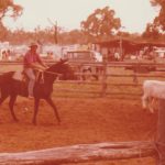 High fuel prices, low cattle exports hit Wellard half-year result