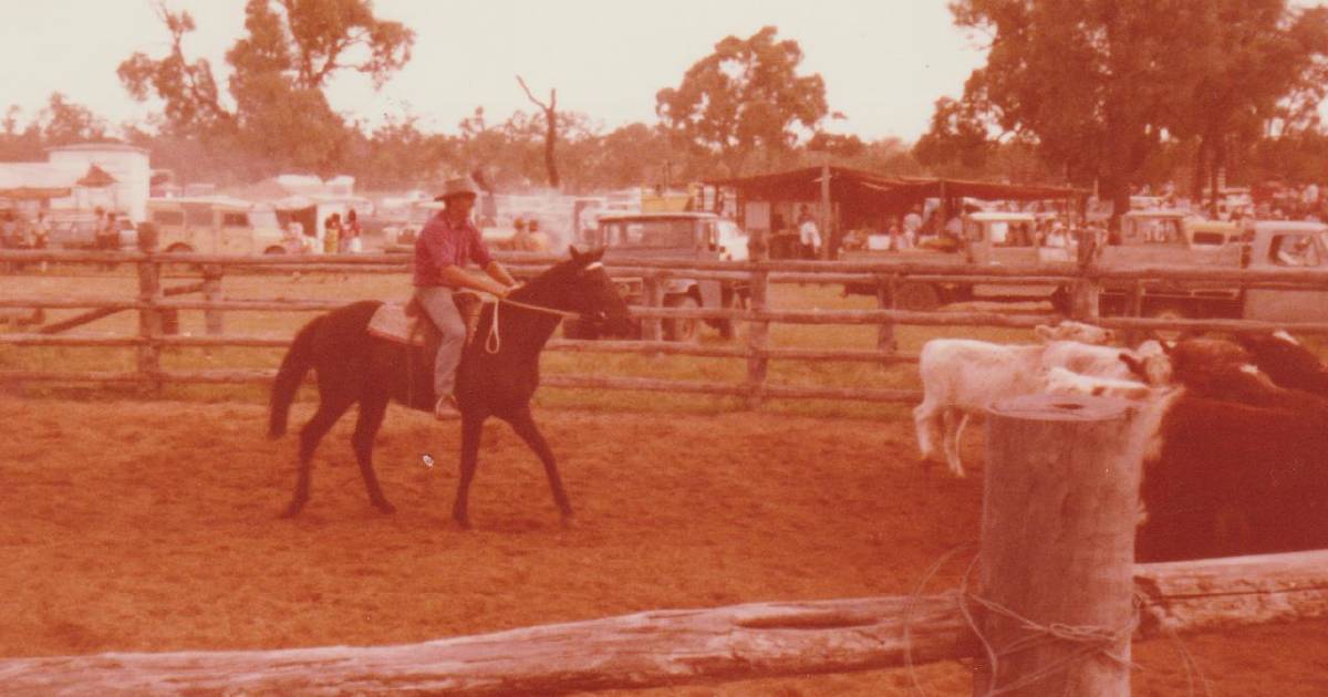 What campdrafting was like in the 1970s, 80s and 90s