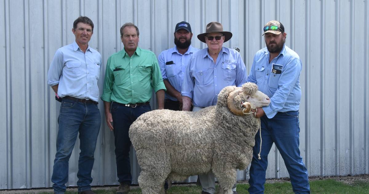 Westvale Merino cracks $5100