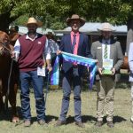 Queensland buyer cleans up top rams at Eastern Region Dorpers