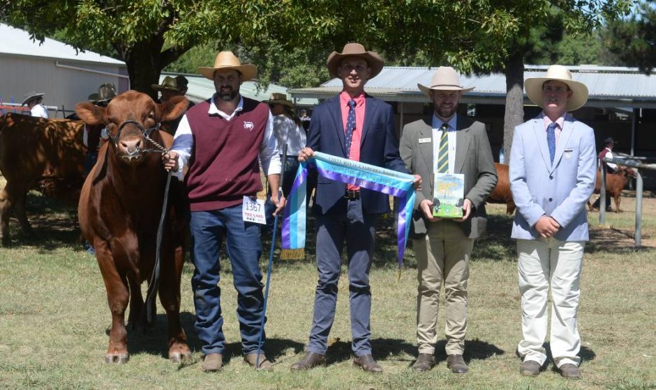 Canberra Royal 2023 Red Angus results Australian Country Life