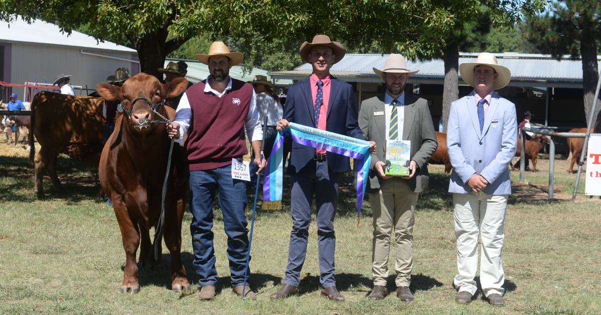 Canberra Royal 2023: Red Angus results