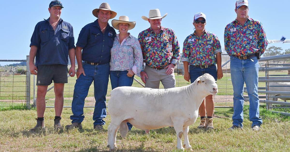 Familiar faces help drive success of Amarula's 20th annual sale