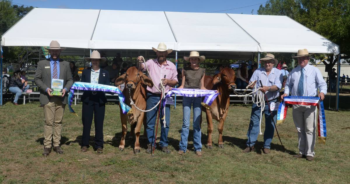 Canberra Royal 2023: Brahman Results