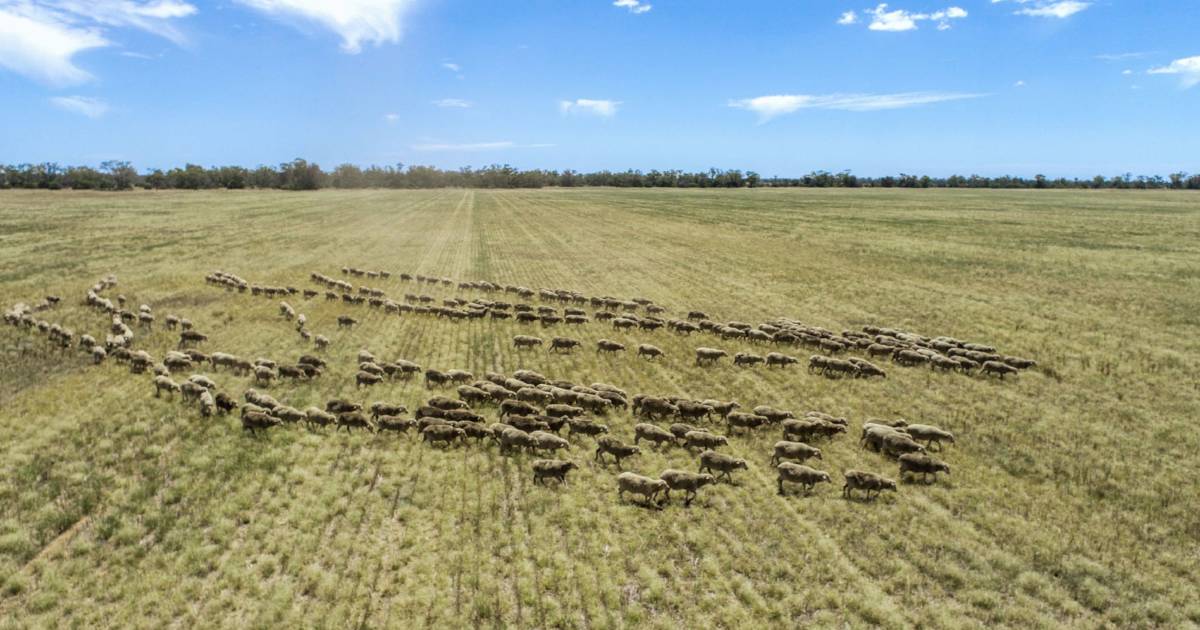 Quality central western farming and grazing country | Video