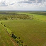 Old Ram Muster (ORM) annual event at Royal Agricultural Society of WA’s Claremont Showgrounds | Farm Weekly