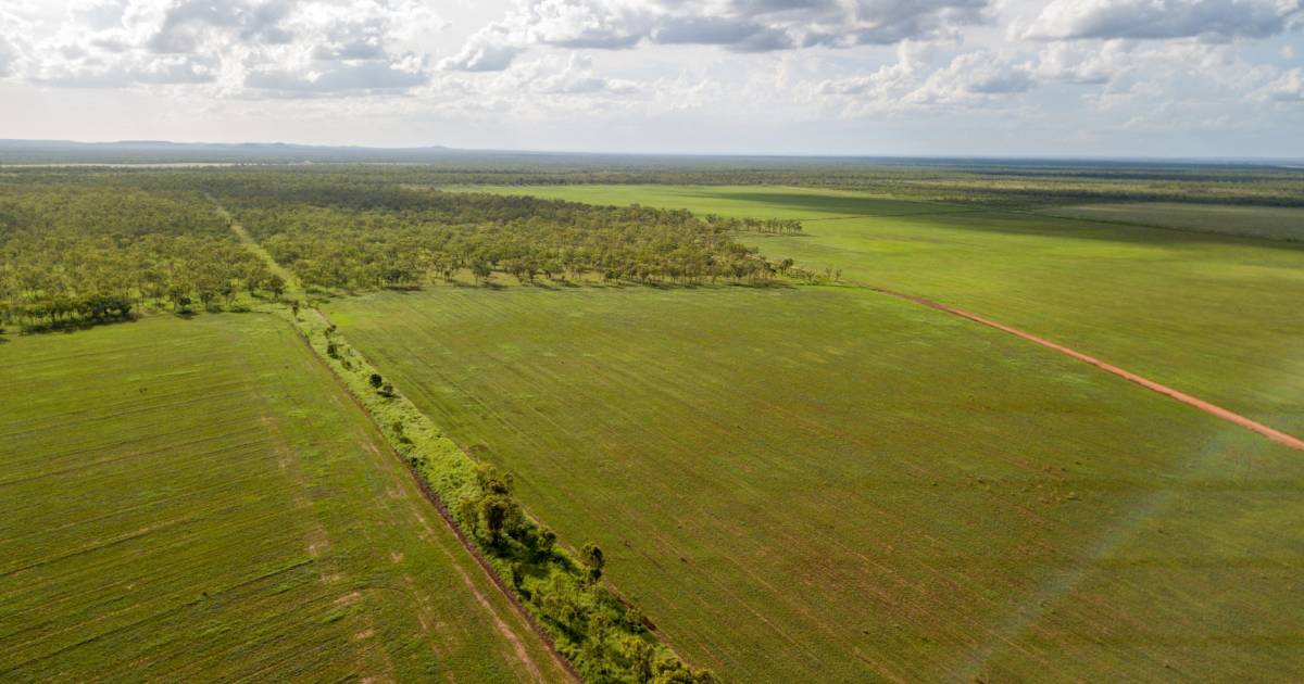 Napier Valley, Jarrahdale offer cattle and hay with industrial potential