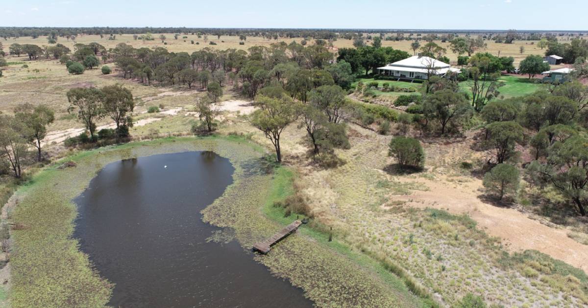 South west grain and cattle country