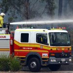 Green Day Energy supplying biomass to energy user in commercial trial | Queensland Country Life