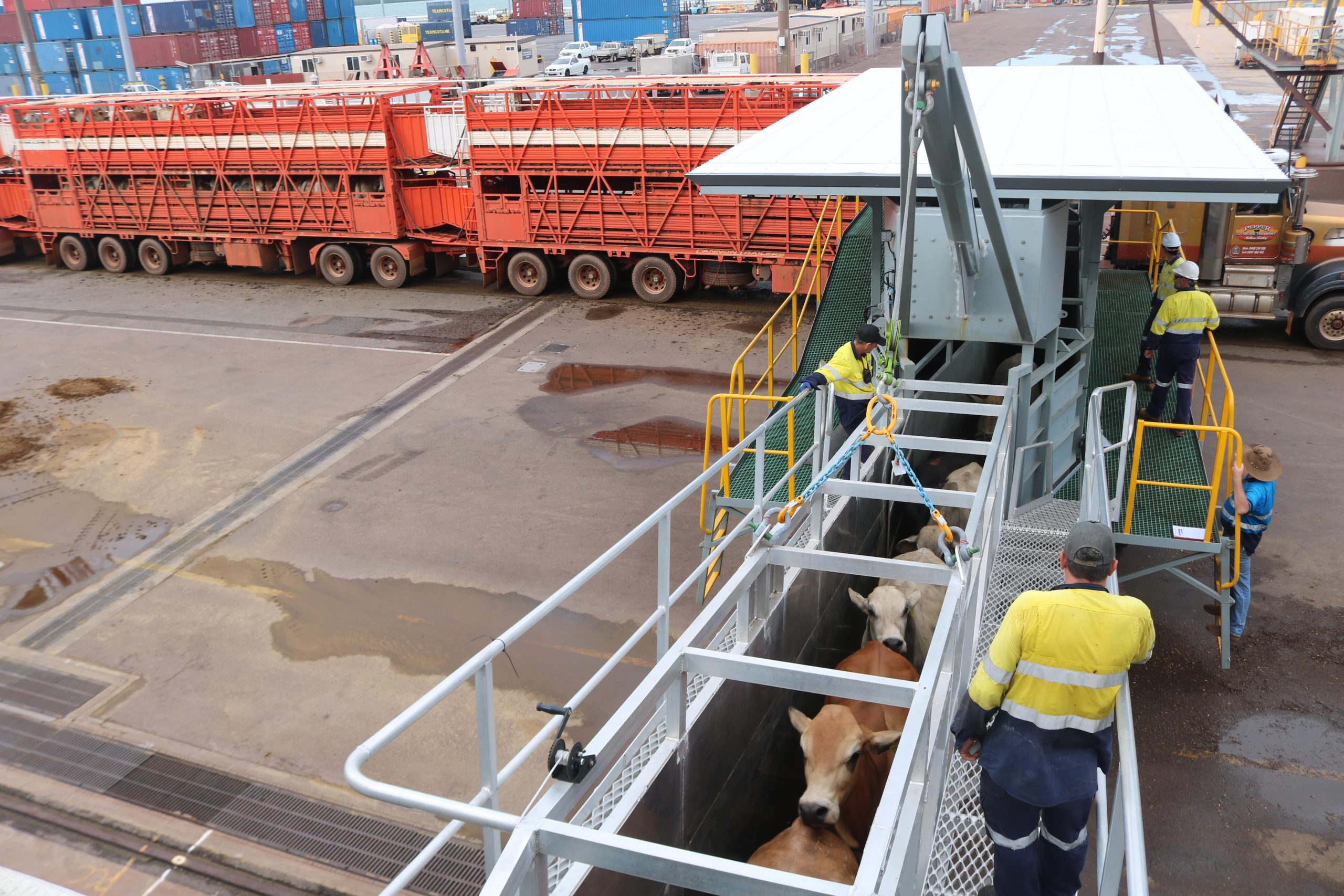 Welfare and efficiency benefits Qube’d with new Darwin loading ramp