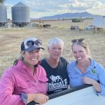 Heifers steal the show at Mountain calf sales