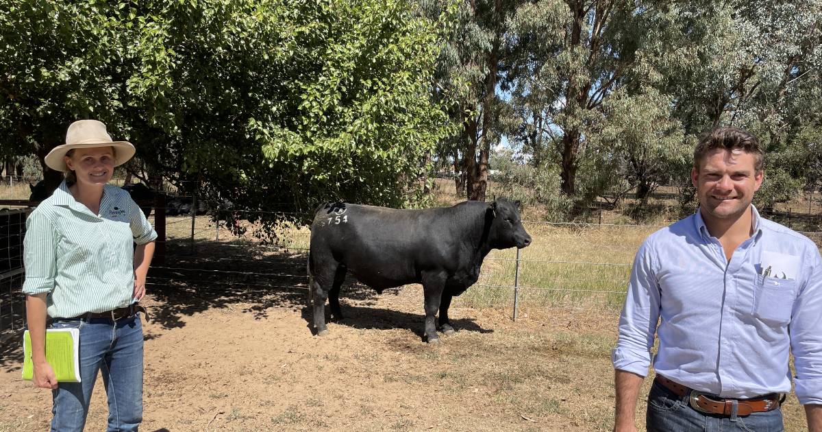 Rennylea Angus hits a top of $40,000