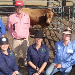 Kapari Angus bull tops $34,000 at Gingin | Farm Weekly