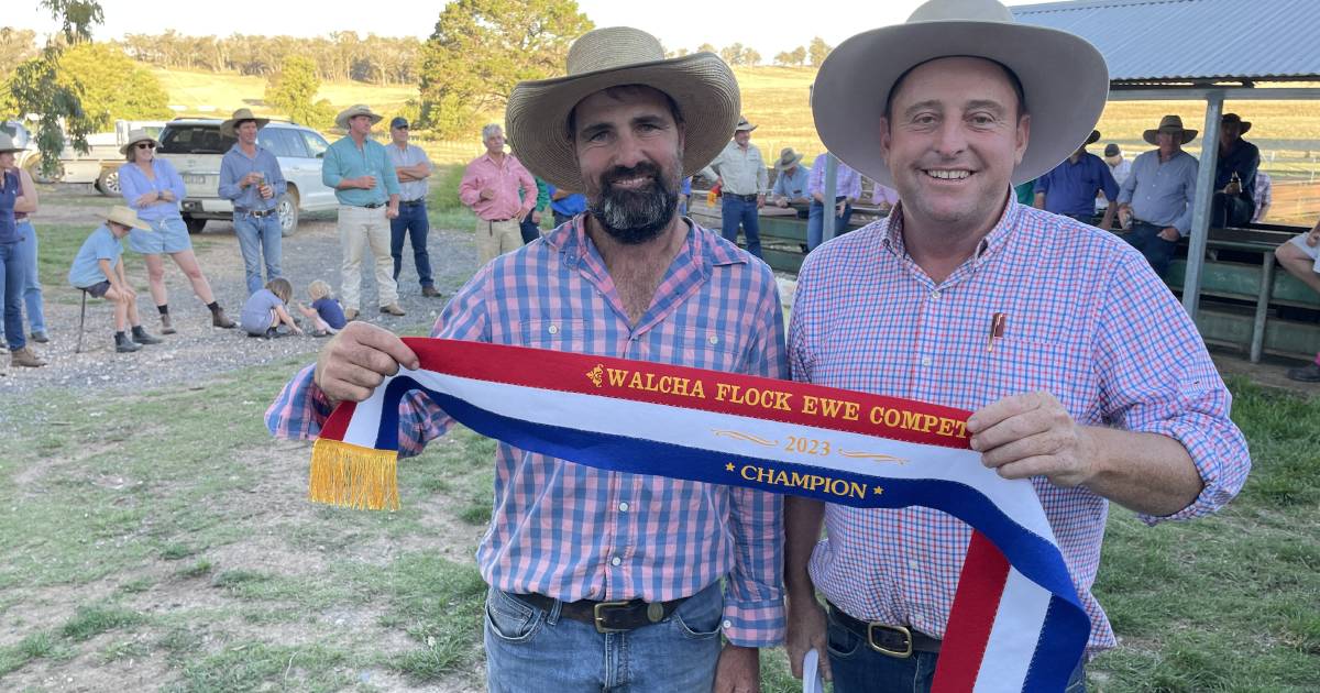 Malford snares Walcha flock ewe competition win