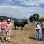 China resumes Brazilian beef imports, and adds more plant to eligible list