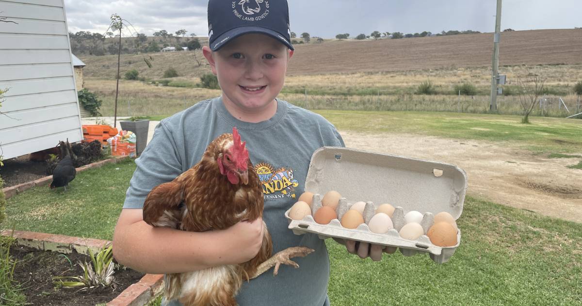 10-year-old Mackenzie West is laying his nest egg one dozen at a time