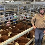 Cattle pregnancy breath test trials take place near Towers