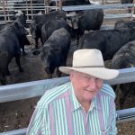 Top crop of weaner calves at Glen Innes pulls the bids with prices firm to slightly dearer | The Land