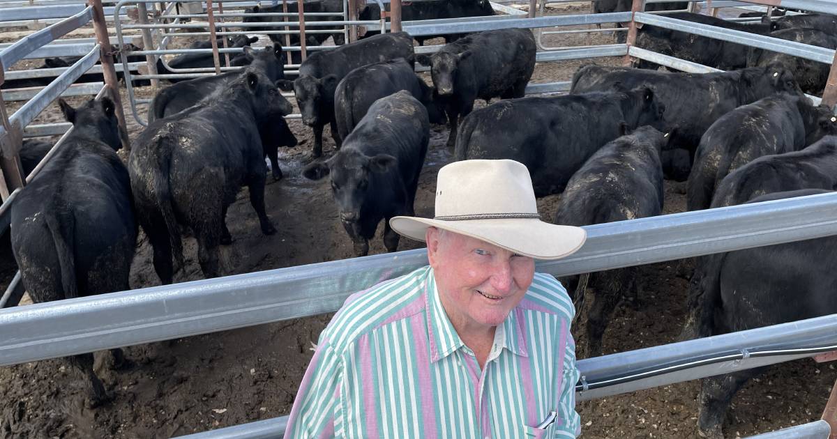 Tenterfield weaners sell to three states