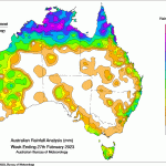 Cattle market positive ahead for producers