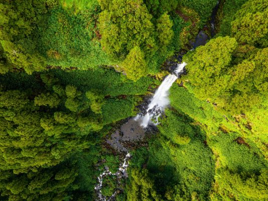 The Azores: A land lost to time and Nature and Europe’s answer to Hawaii