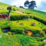 Rats and rain knock crops, but there's hope in dry skies