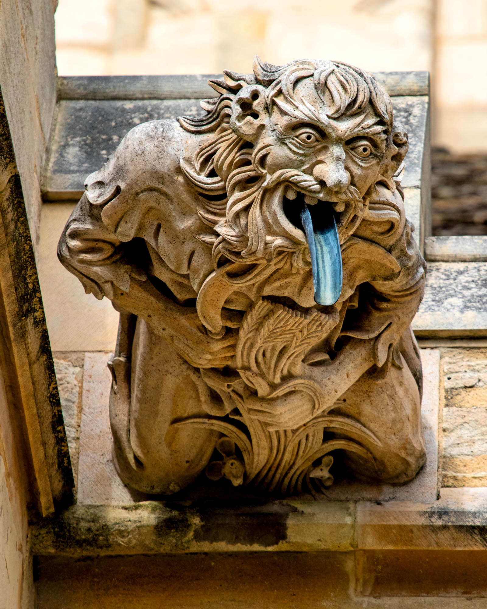 Curious Questions: Why do churches have gargoyles?