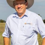 Cattle go under the hammer at Omeo