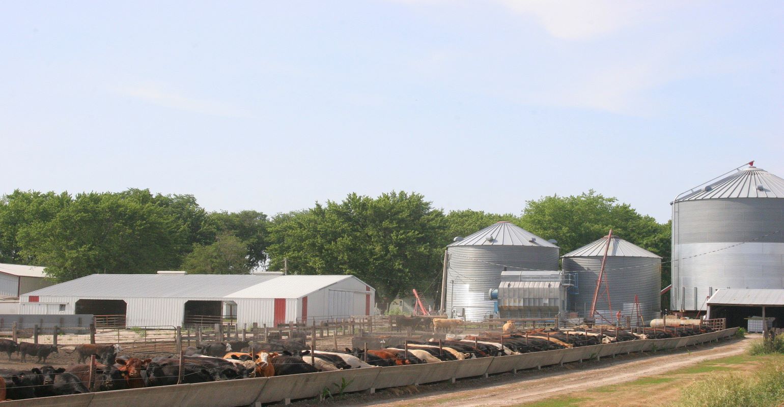 Beef production decreasing; prices higher