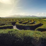 Canegrowers form taskforce in the hunt for workers