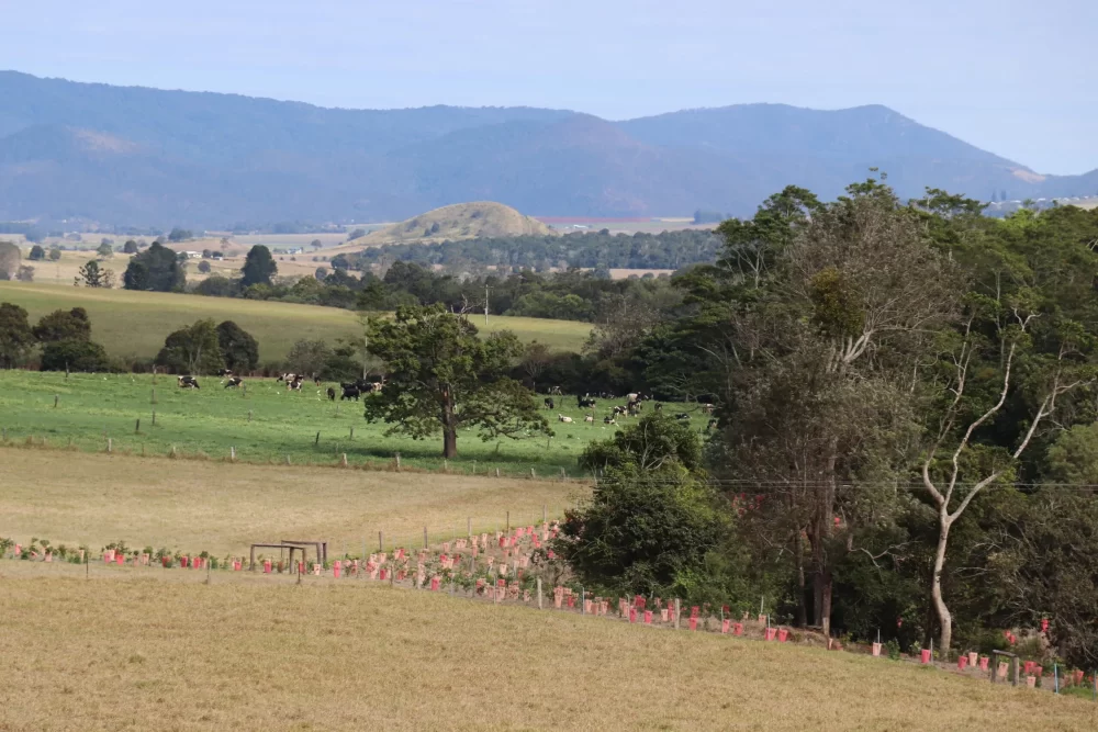 Federal Govt puts support behind nature-based reporting for lenders