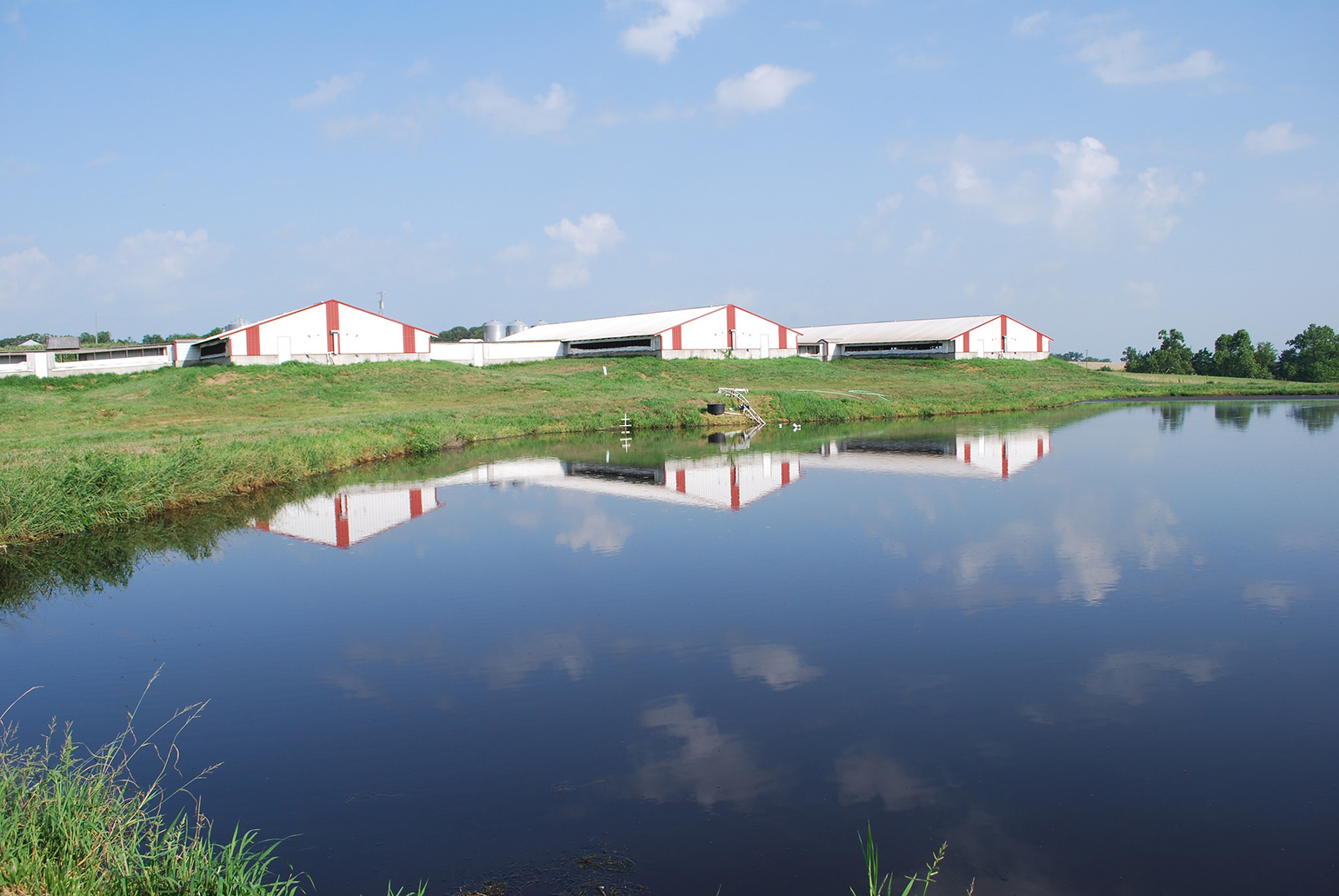 Missouri Supreme Court upholds state CAFO law