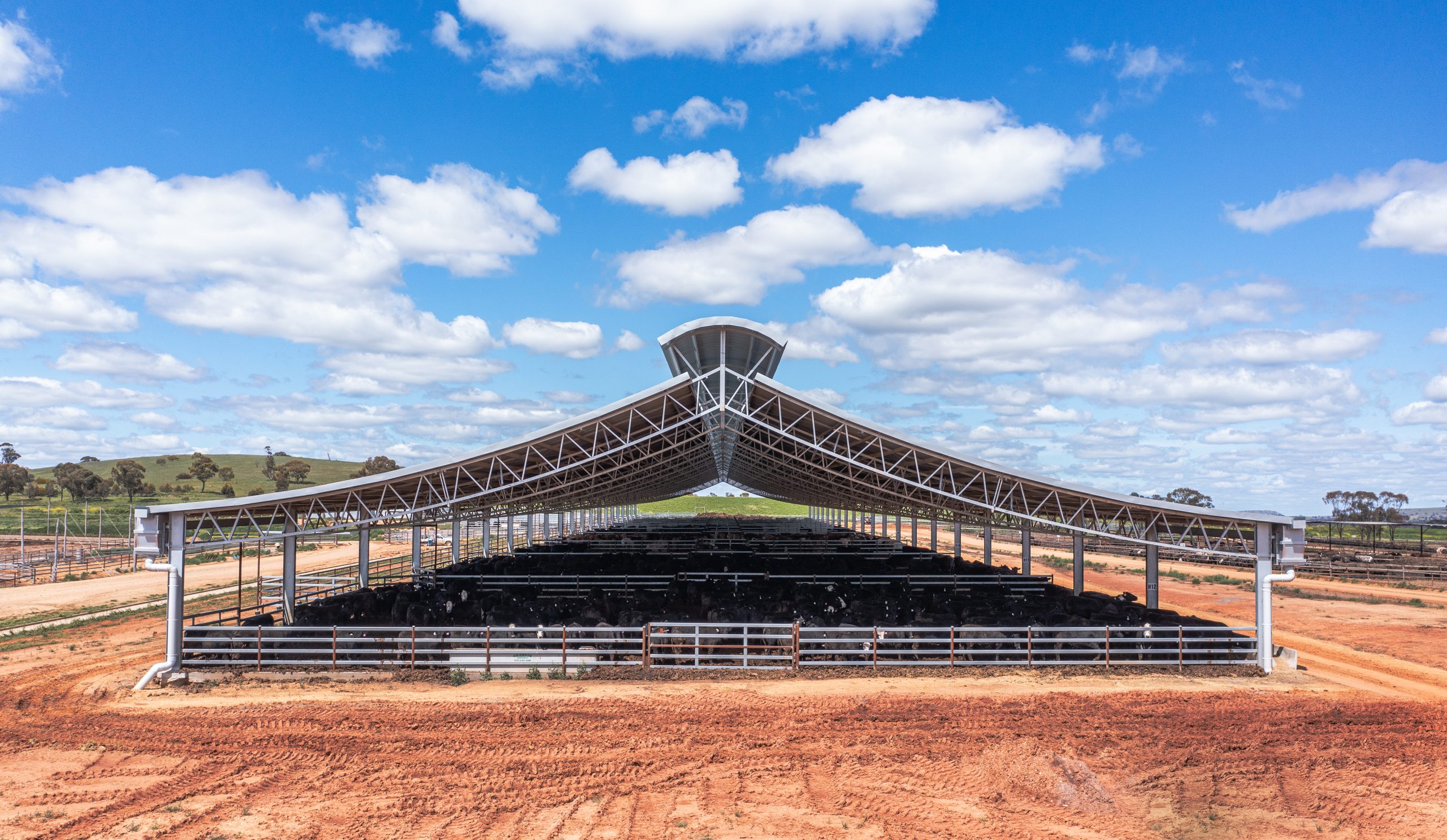 Cattle shade, shelter under microscope at Dalby conference + Video