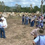 'Fly-in greenies' push for more sacred sites