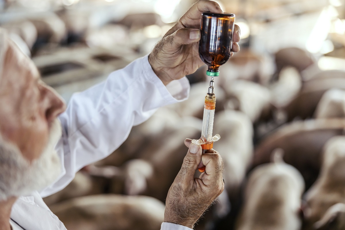 What to do Now to prepare for antibiotic changes ahead?