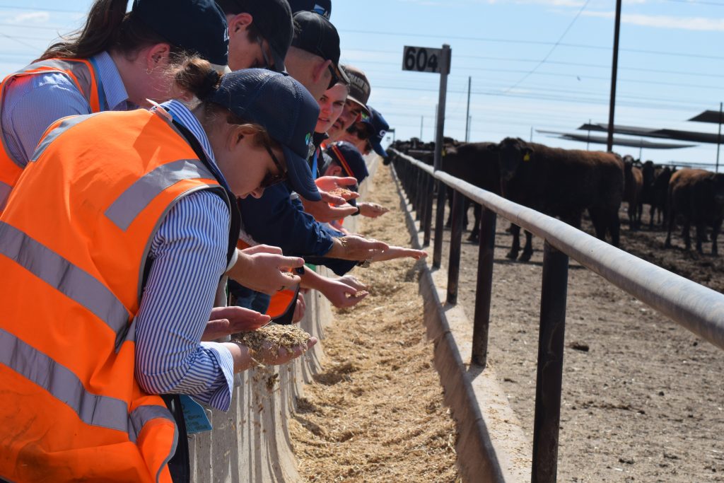 Top 25 Lotfeeders: Sorghum departs as feedlot rations evolve