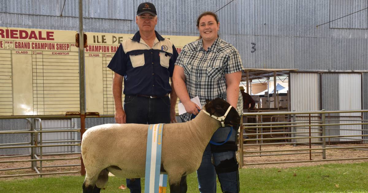 Goldenover stud wins grand champion Suffolk | Farm Weekly