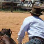 Silverdale cattle sale feeder prices remain firm | Queensland Country Life