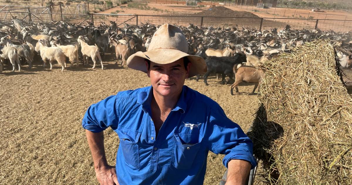 From goat depot owner to tourism operator, a lesson in outback adaptability