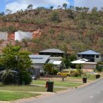 Quality bulls in demand at Mareeba