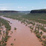 Pacific Seeds trial stands up after a dry finish