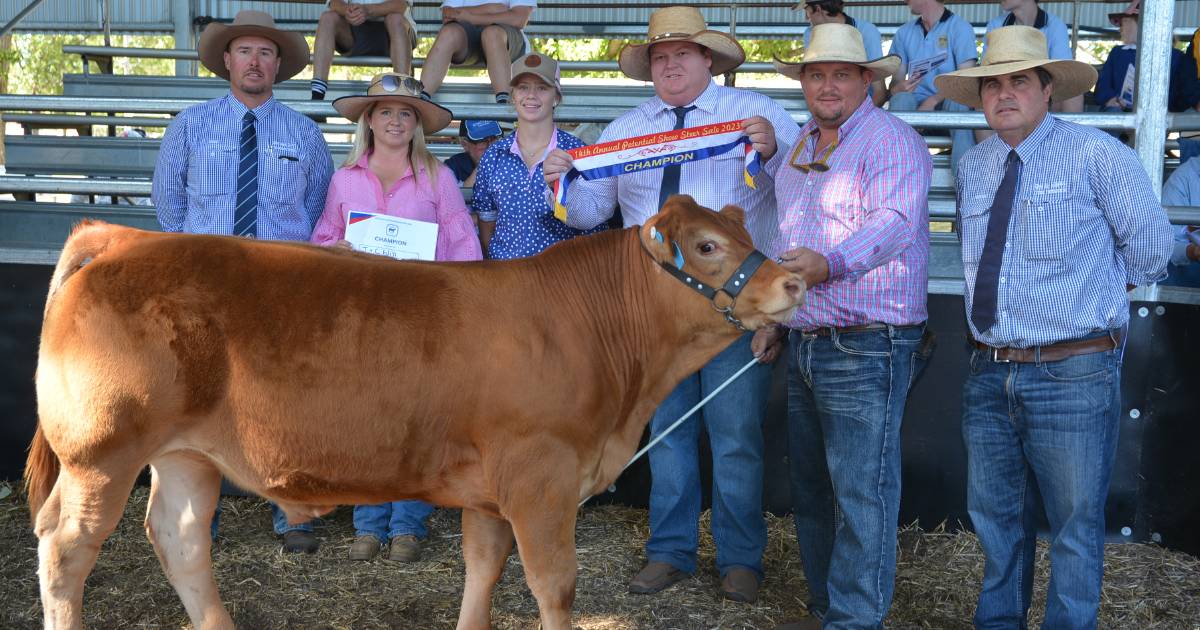 Queenslanders make up 1850c/kg steer syndicate