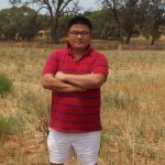 More than half of Gracemere yarding made up of steers