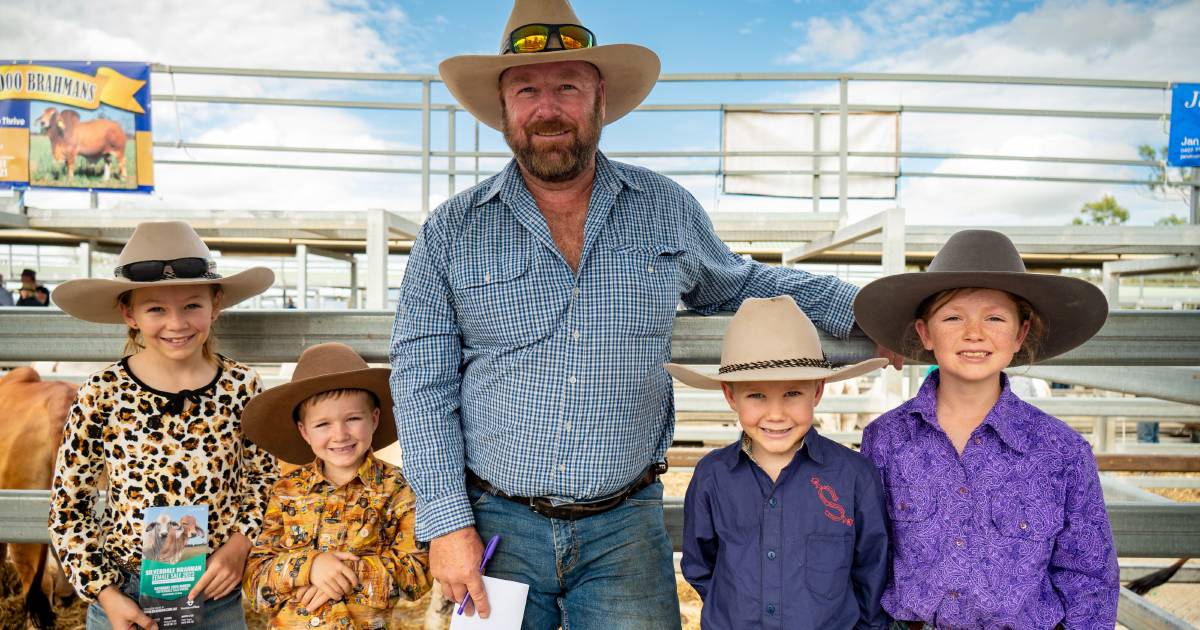 PHOTOS | Silverdale Brahman female sale